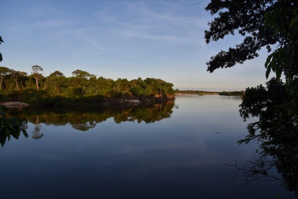 Paisagem na Amazônia com vegetação e rio