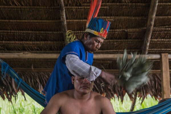 medicinas indígenas act