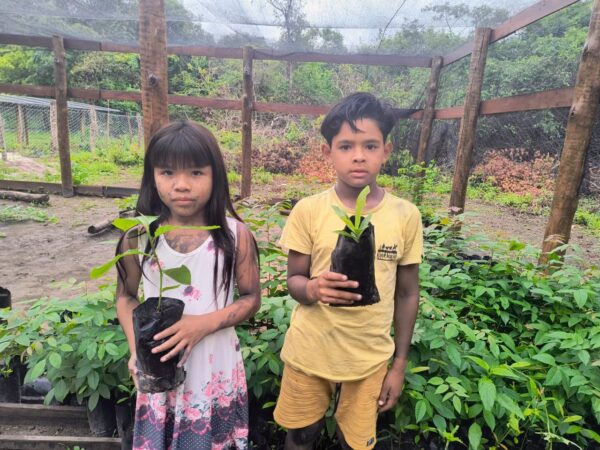 Crianças Ãwa seguram mudas de planta para o plantio