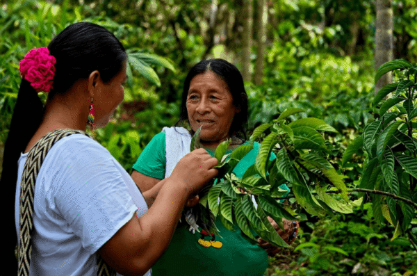 Intercâmbio de saberes