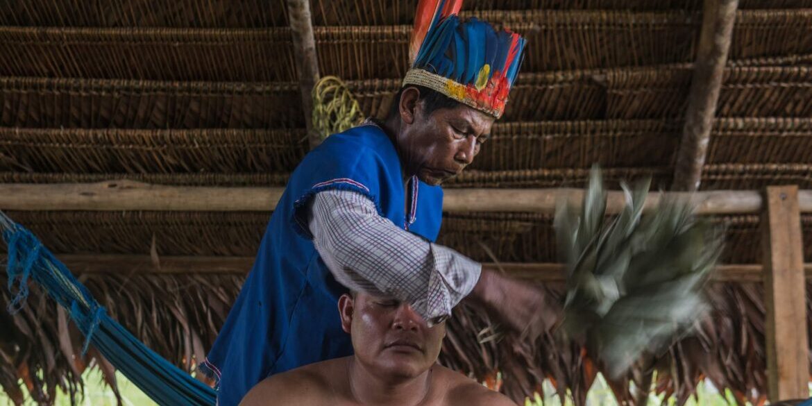 medicinas indígenas act medicinas indígenas act