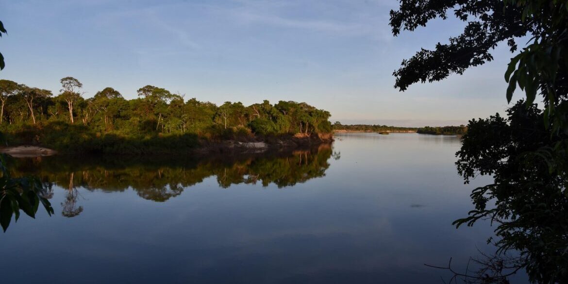 Amazônia Paisagem na Amazônia com vegetação e rio